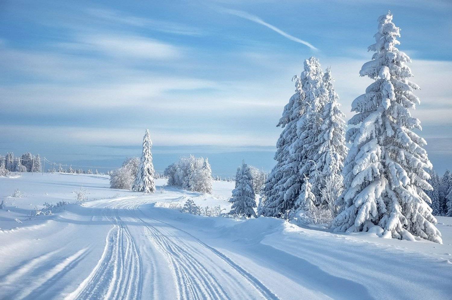 удмуртия, зима, иней,кезский район, АНДРЕЙ LOZHKIN