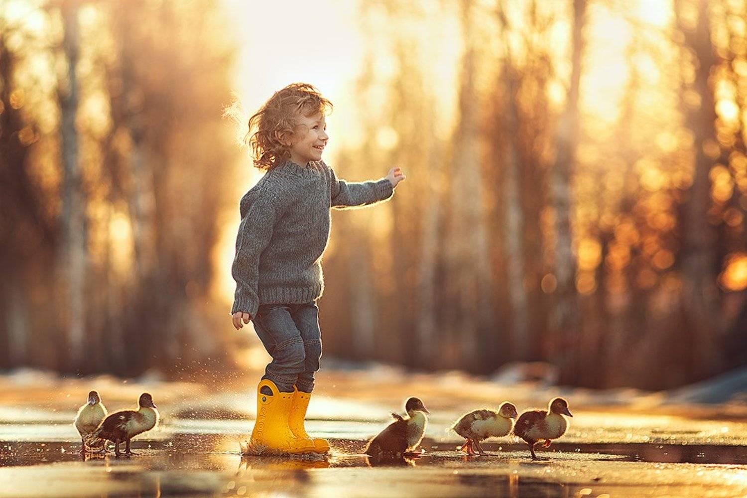 мальчик, утята, гусята, весна, Анастасия Кучина