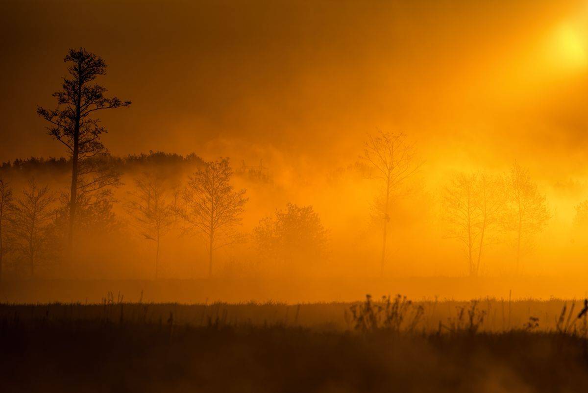 , Sławek Przybylski