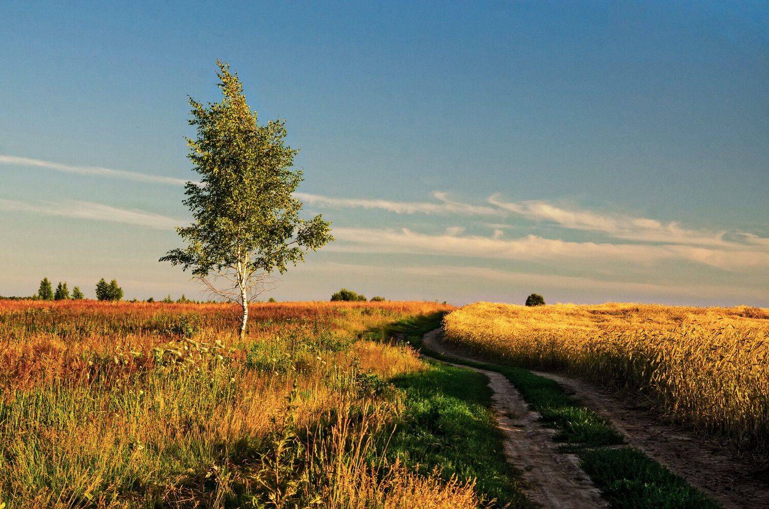 nevant60, замок, красота, путешествия, Александр Березуцкий