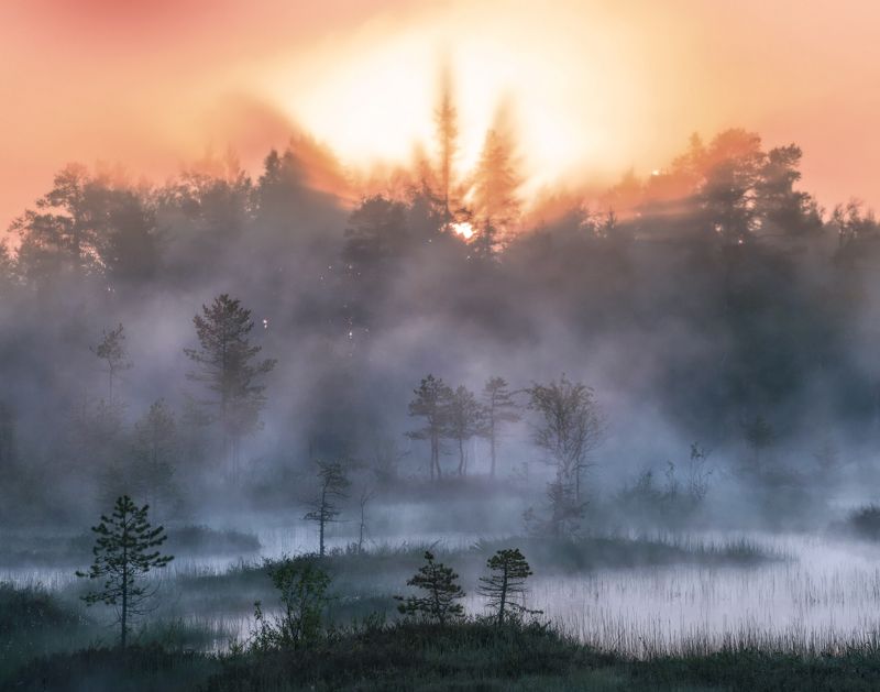 Утро в Карелии. фото превью