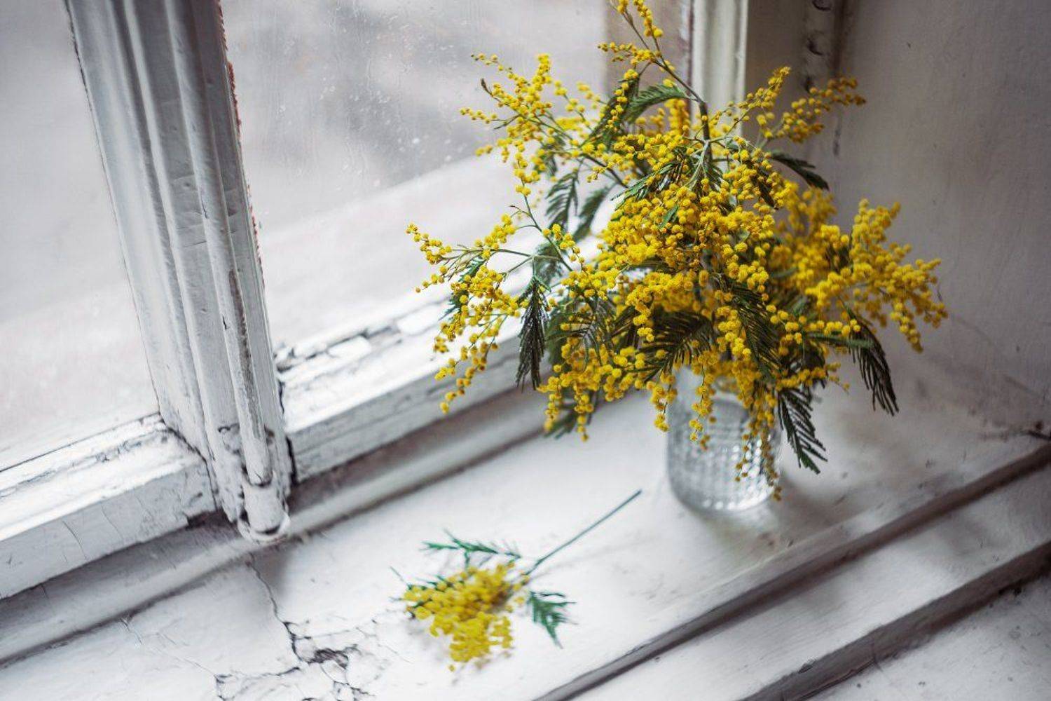 , Алёна Таланова