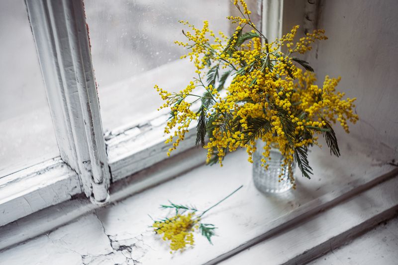 Желтое настроение фото превью