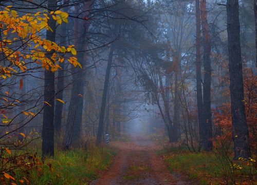 Сырость в воздухе висит