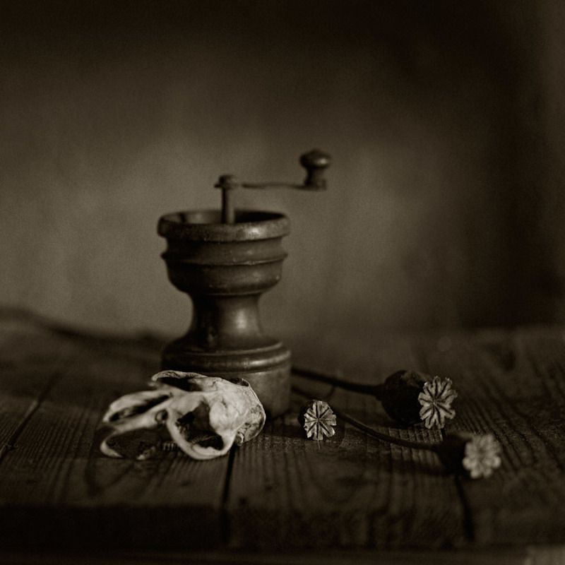 *** фото превью