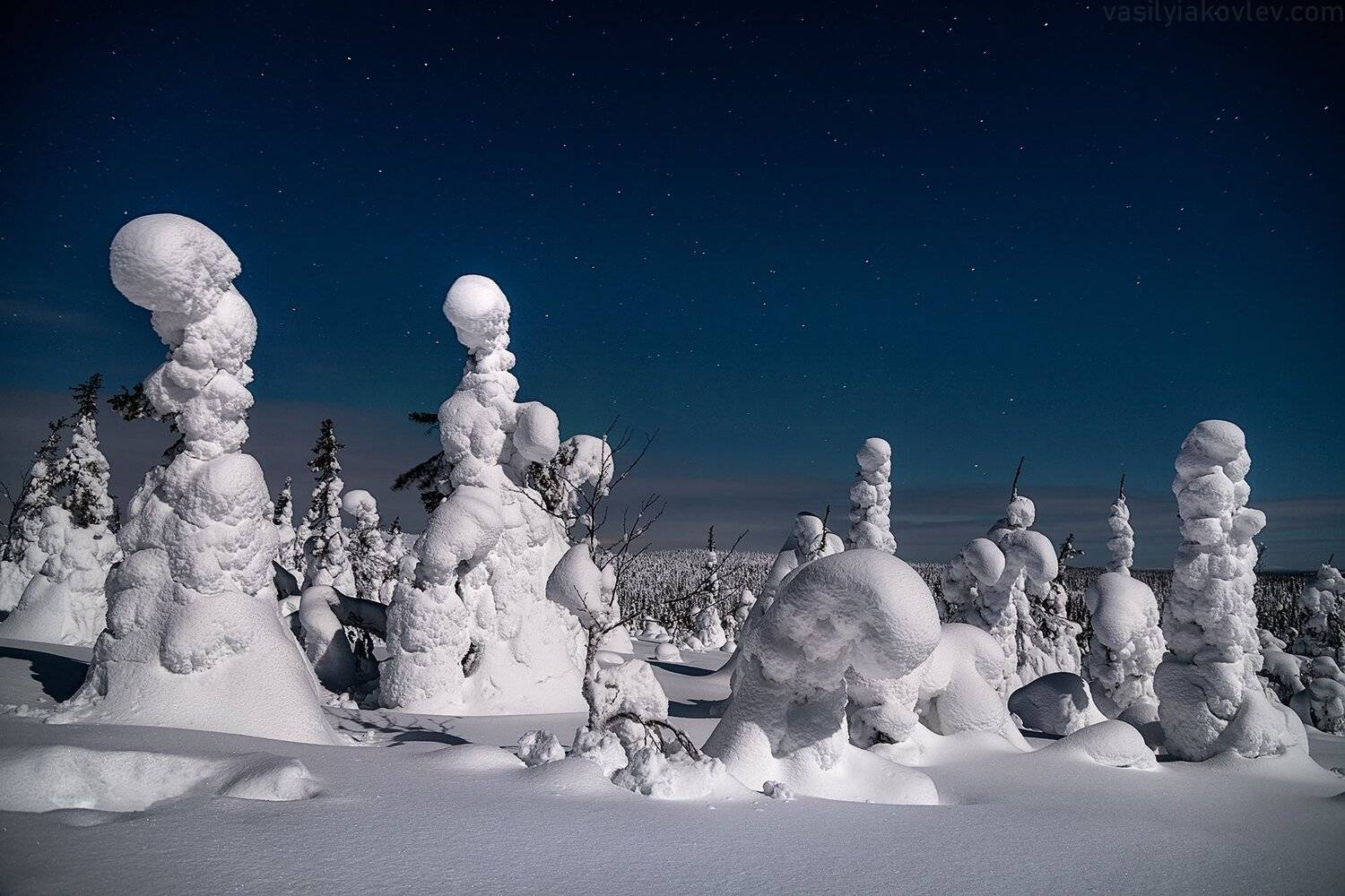 финляндия, лапландия, зима, ночь, Василий Яковлев