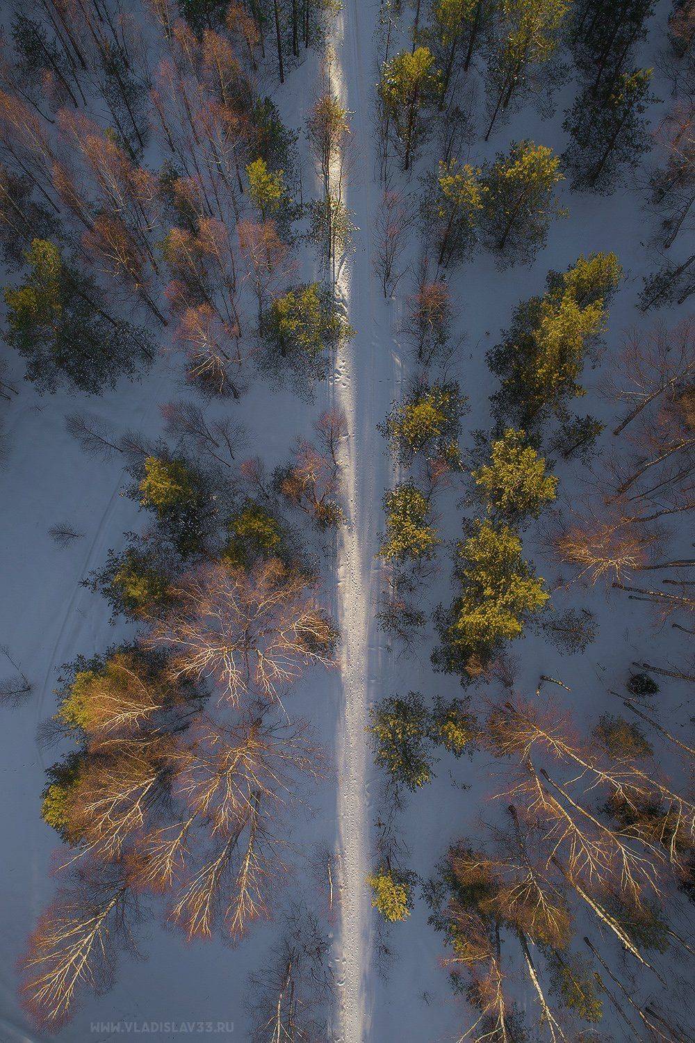 , Тябин Владислав