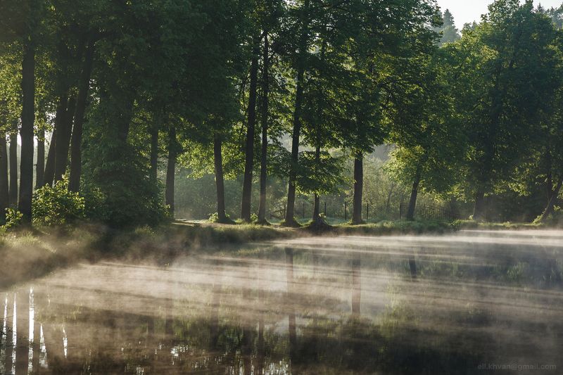 Утро в Середниково фото превью
