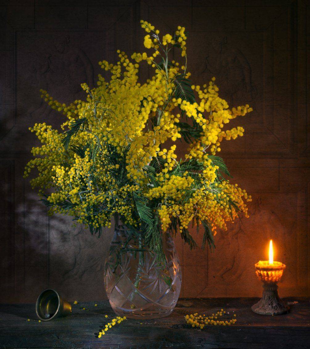 , Елена Брежицкая