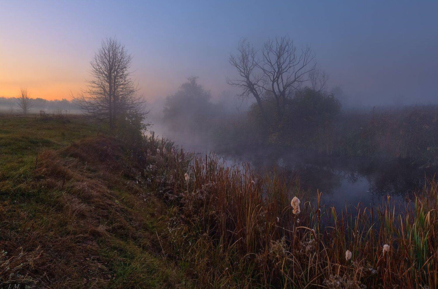 рассвет, речка, сумерки, туман, деревья, пейзаж, autumn, dawn, fall, fog, Landscape, panorama, water, trees, Misty, colors, twilight, foggy dawn, foggy, small river, Ivan Maljarenko 