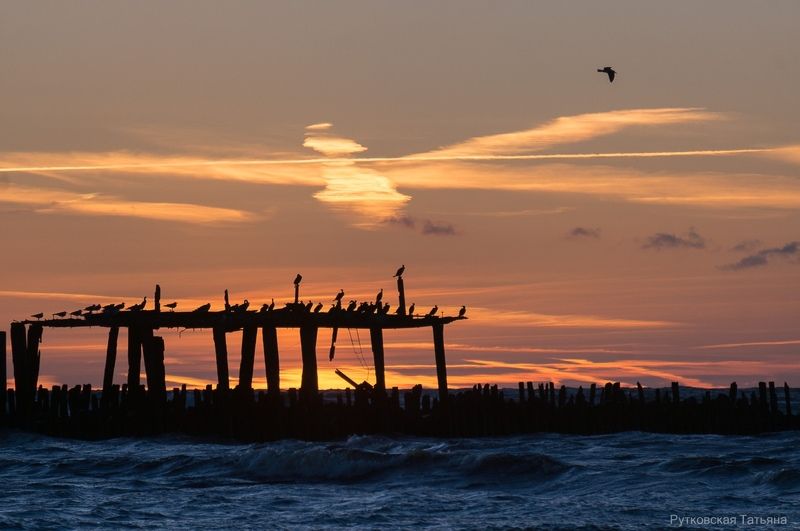 Старый Причал Швянтойи (Литва) фото превью