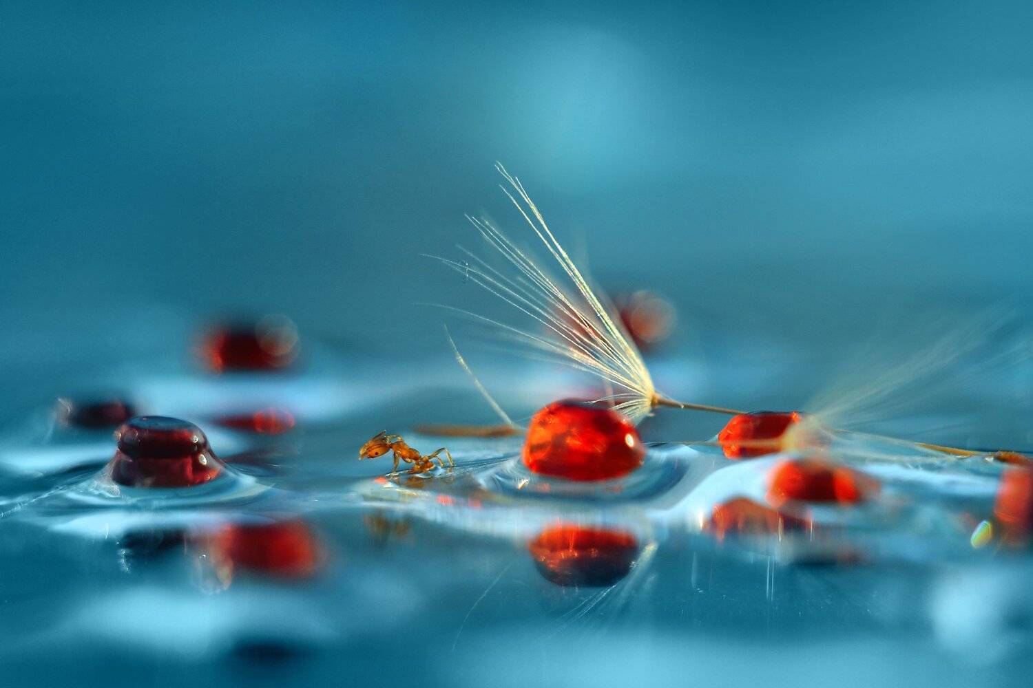 , Воинкова Ирина