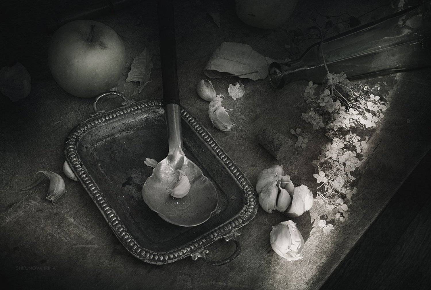 , Шипунова Ирина