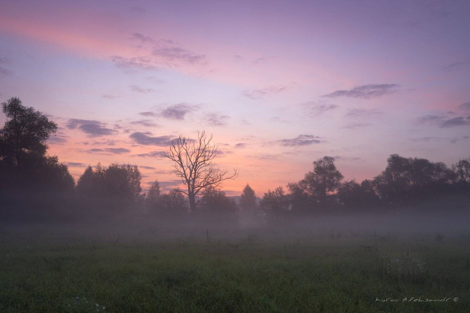 , Александр Кыров
