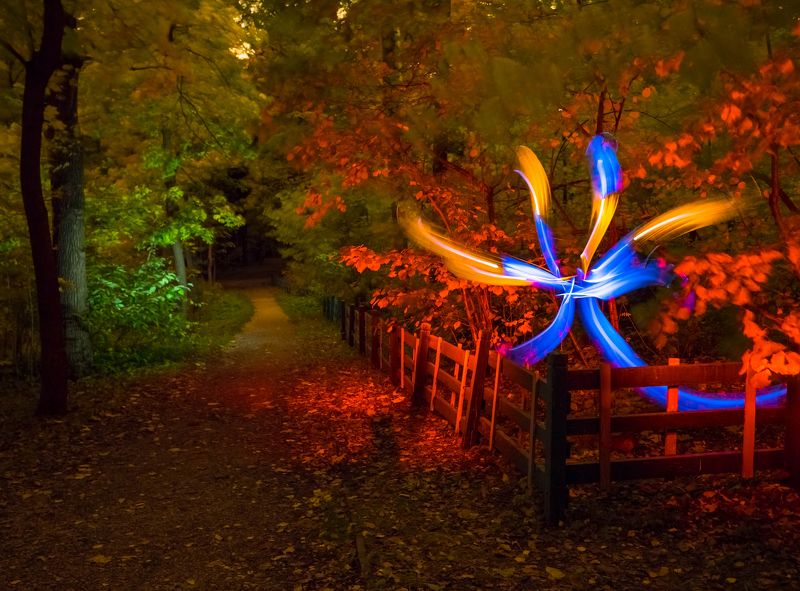 lightpainting, lightart, longexposure, nightphotography, light, night, lightblade They flew away .... фото превью