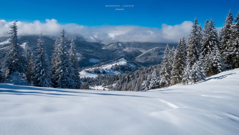 #landscape, #nature, #scenery, #forest, #wood, #autumn, #mist, #misty, #fog, #foggy, #river, #waterfall, #longexposure, #mountain, #vitosha, #bulgari, #aтуман, #лес, #oсень *** фото превью