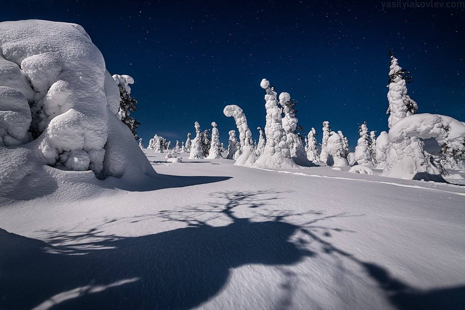 финляндия, лапландия, зима, ночь, Василий Яковлев