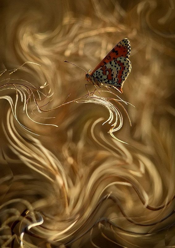 Иллюзия реальности фото превью