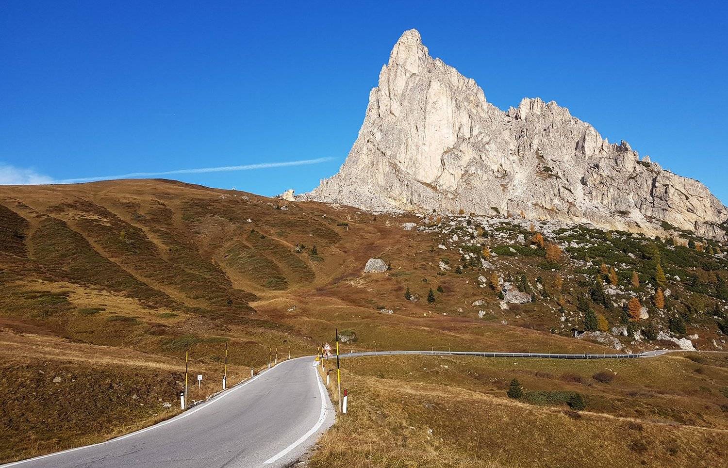 , Игорь Дубровский