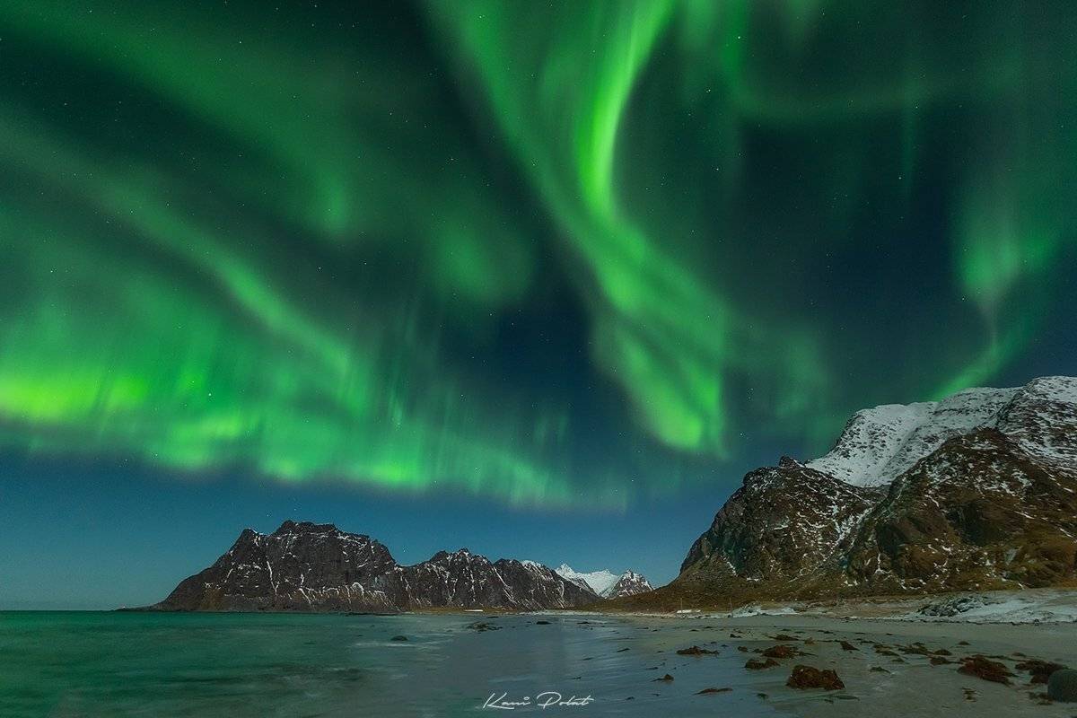 , Kani (kanipolat.com) Polat