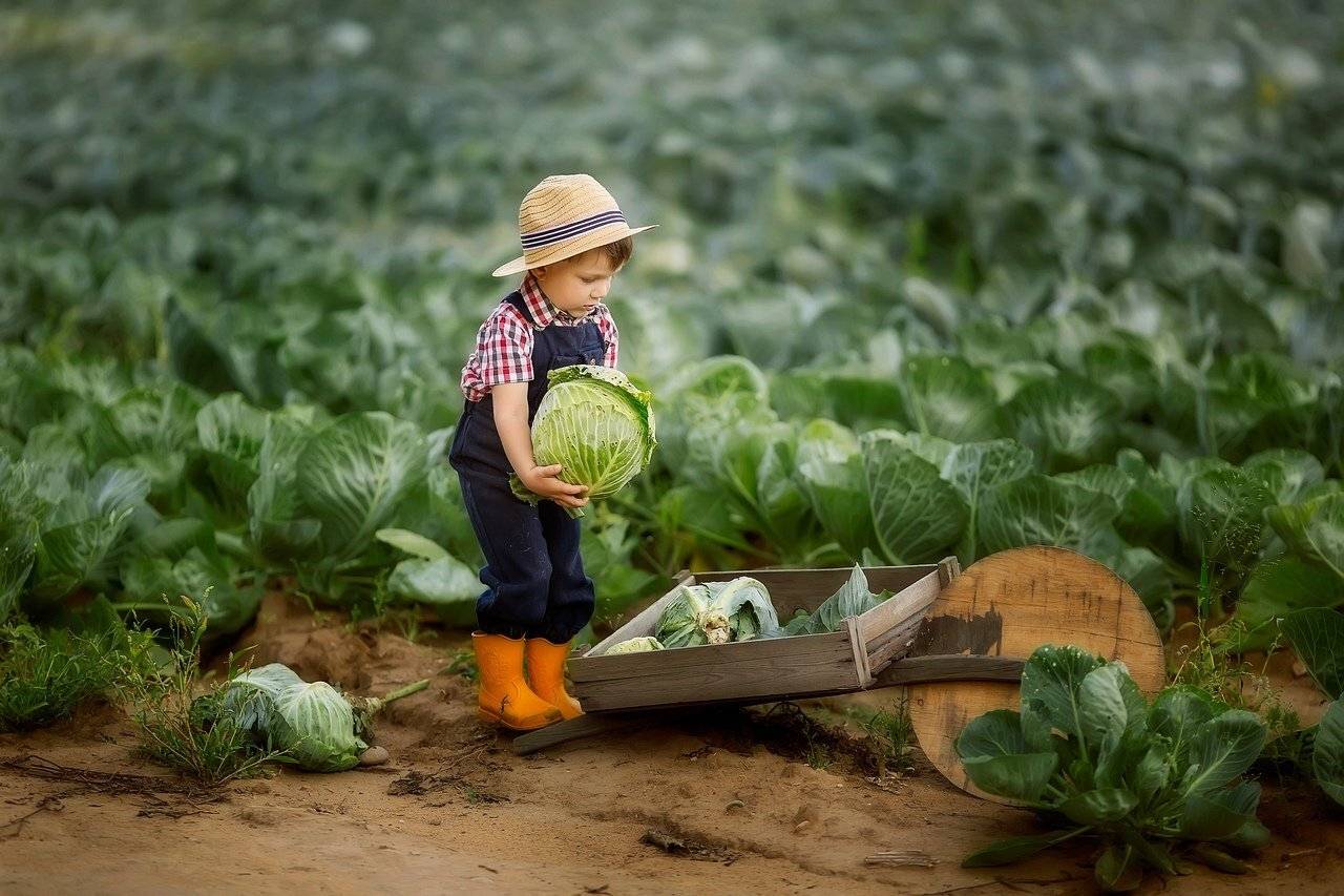 , Любовь Пятовская