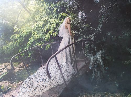 Бархатных садов амуры 