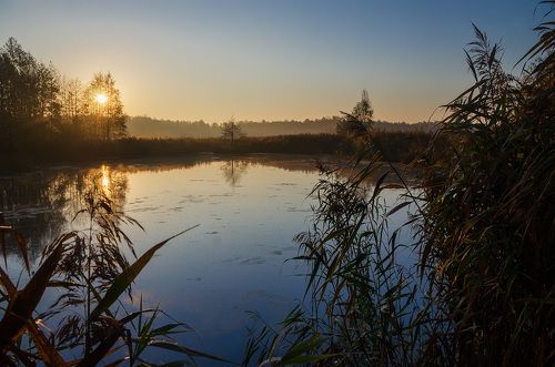 Философия болот