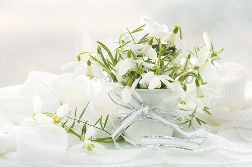 Первые подснежники