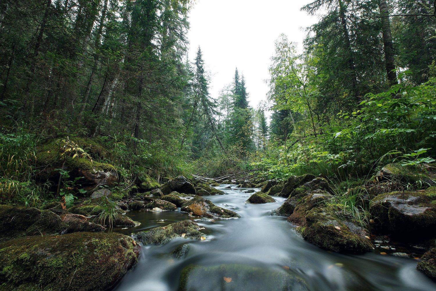 Урал, Айгир, Владимир Кочкин