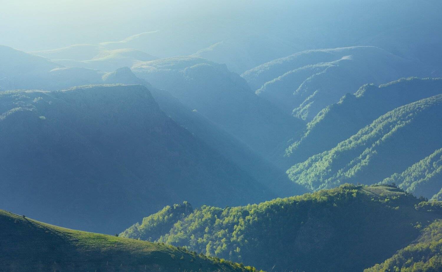 горы лето утро, Александр Жарников