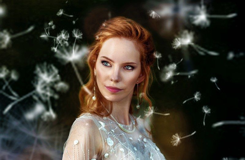 Одуванчики фото превью