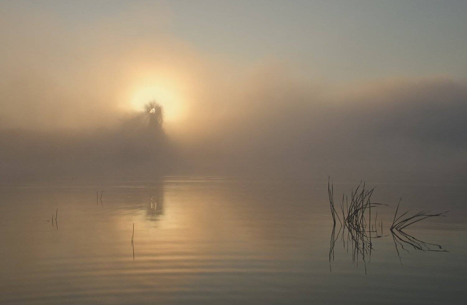 утро, природа, рассвет, архангельское, Михаил Агеев