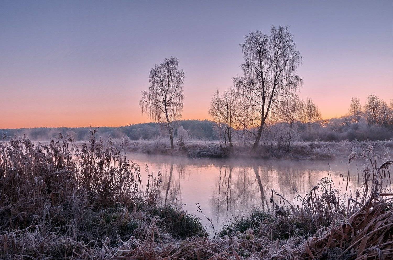 утро, мороз, природа, осень, Александр Гвоздь