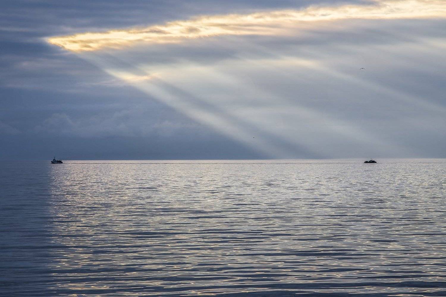 море свет движение, Дмитрий Алексеев