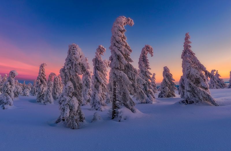 Daybreak фото превью