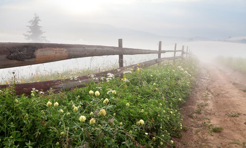 Даль подернулась туманом... фото превью