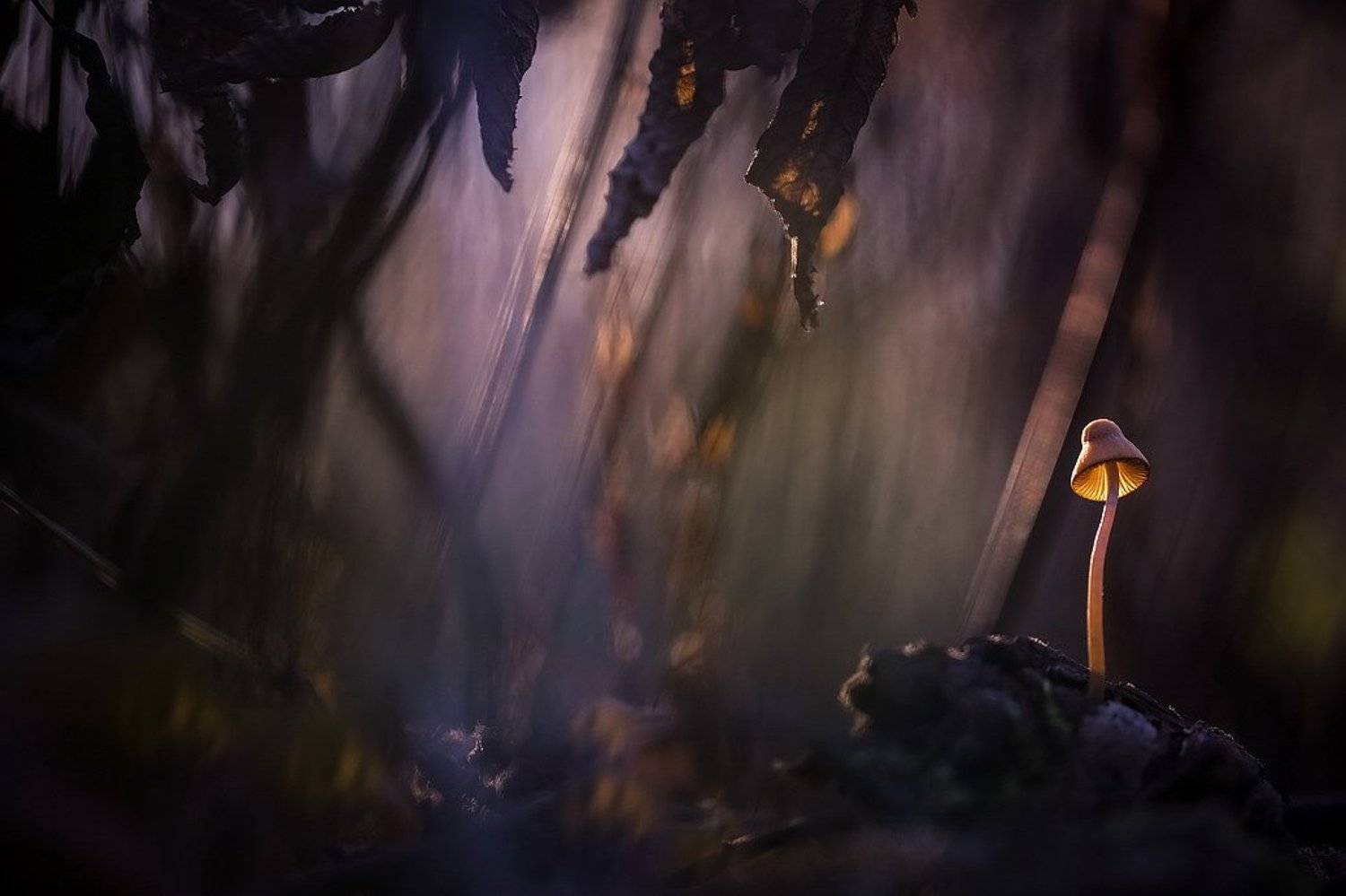 , Вячеслав Мищенко