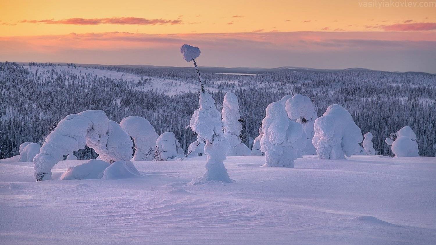 финляндия, лапландия, зима, закат, Василий Яковлев