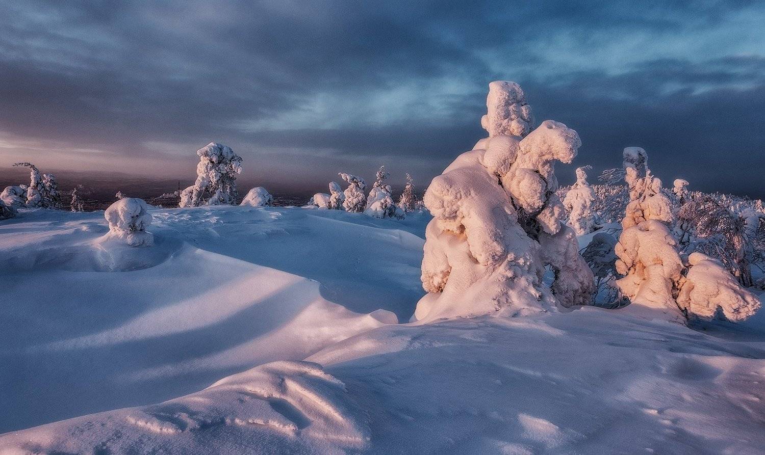 снег, горы, ели, кандалакша., Владимир Липецких