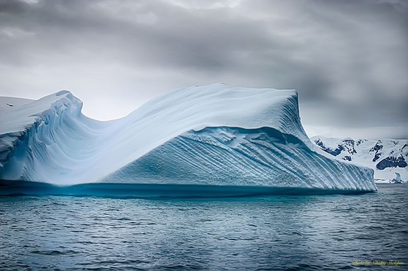 Антарктида 40 фото превью