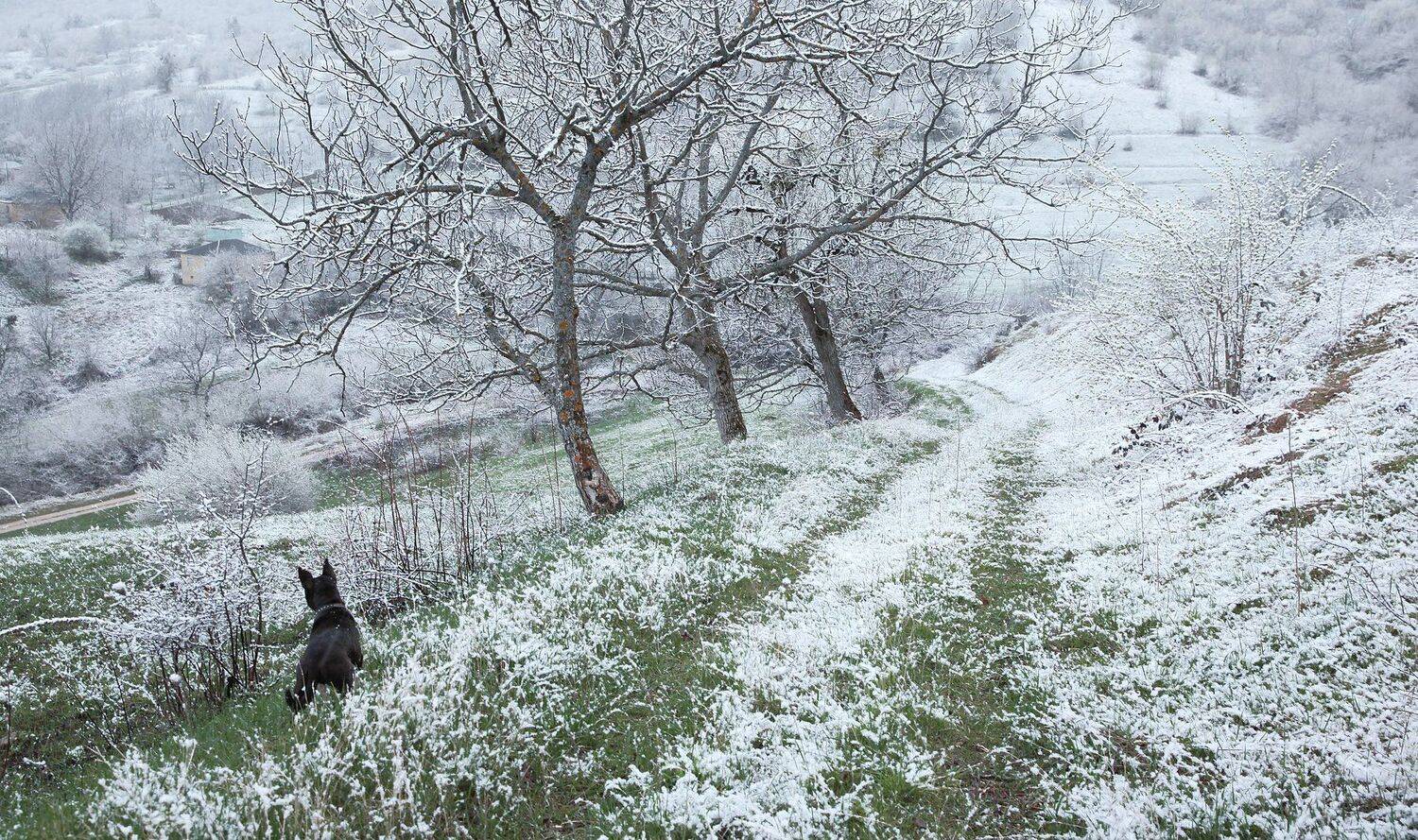 весна,снег,горы,природа, Marat Magov