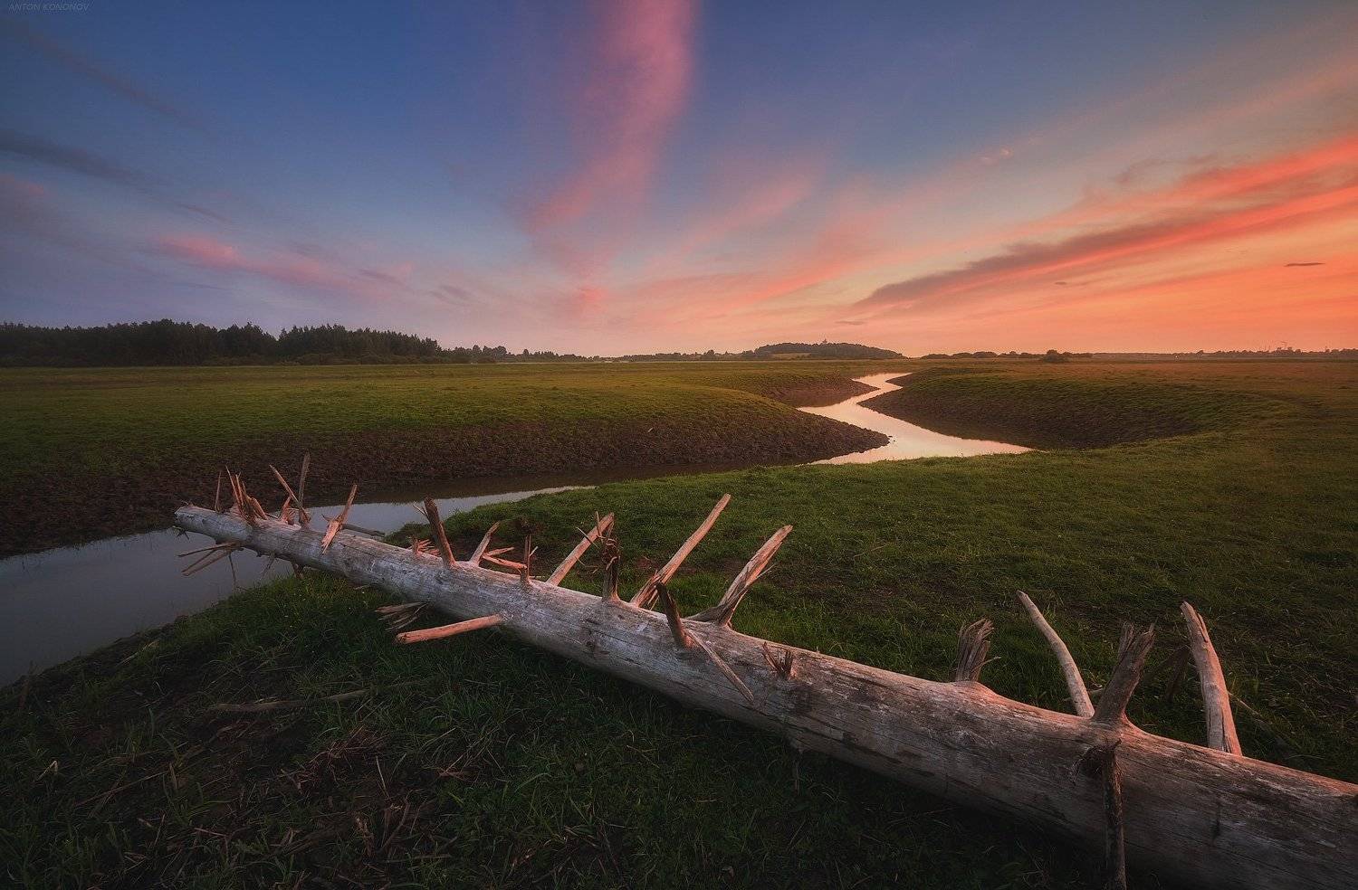 , Антон Кононов