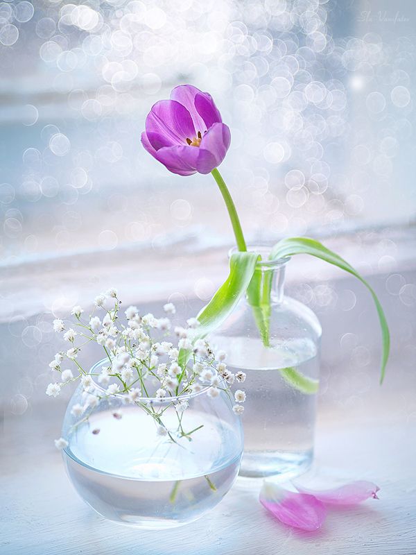 Мартовский натюр... фото превью