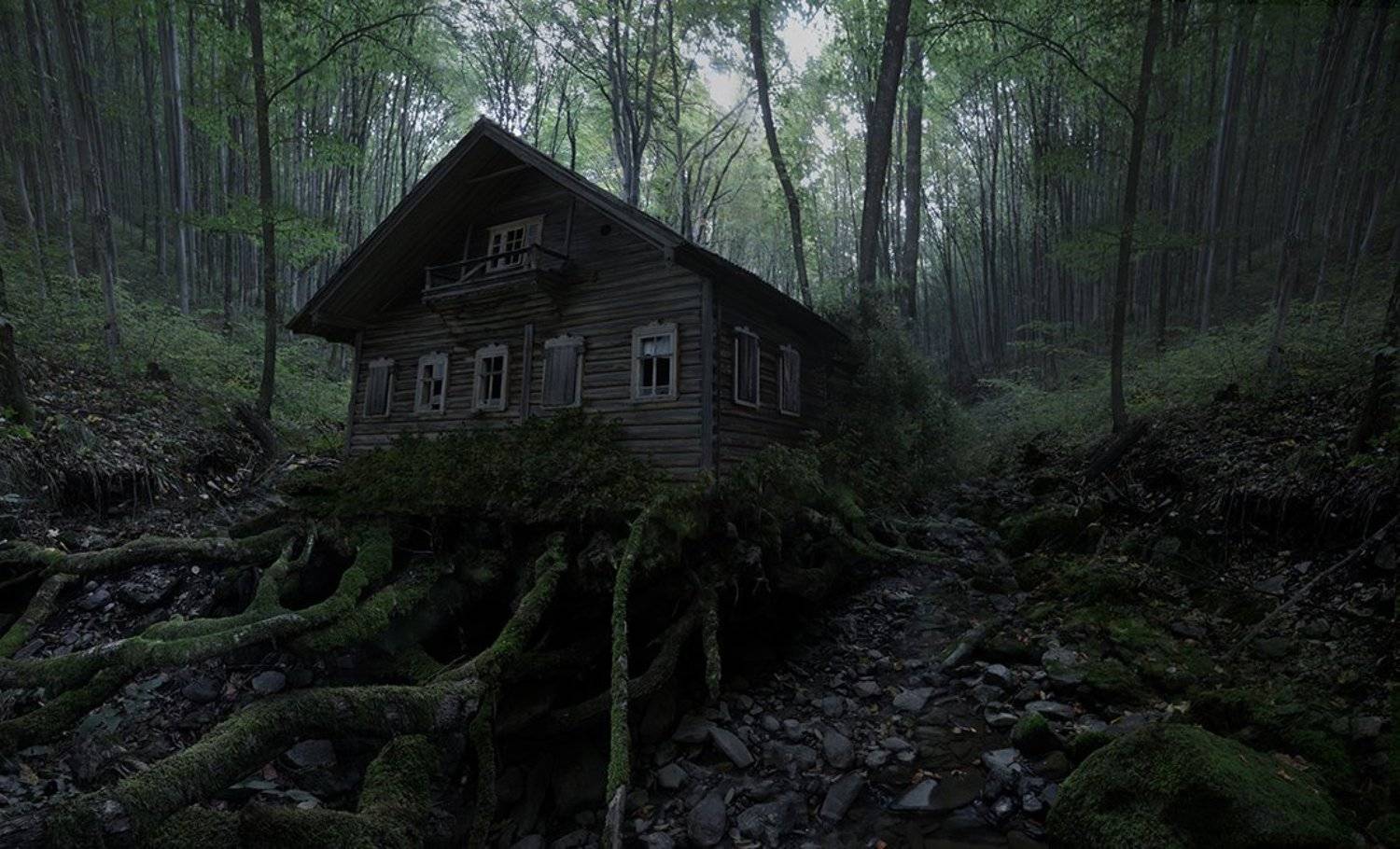 , Дeнис Бoдрoв