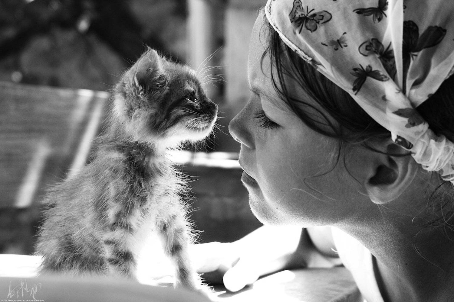 , Александр Мартынов