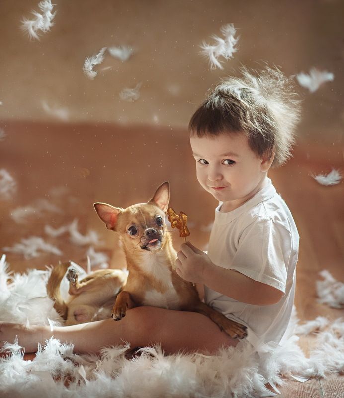 Чудо в перьях фото превью