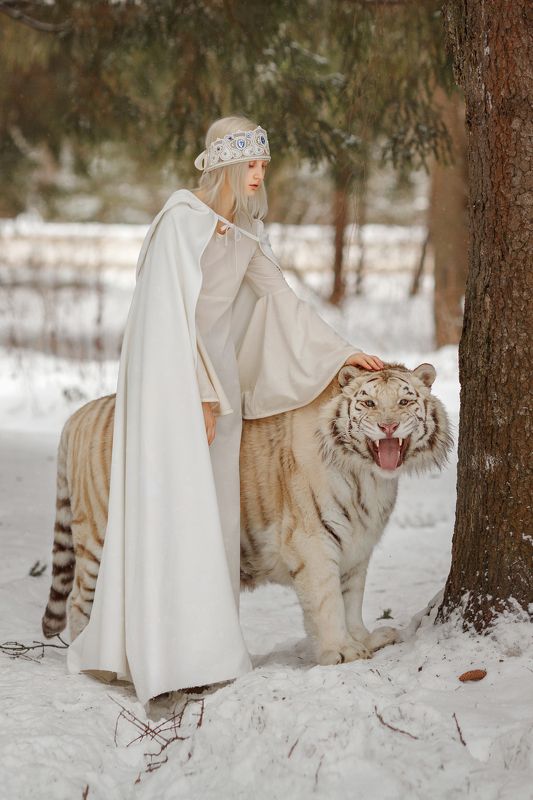 тигр Улыбчивый Вайт фото превью