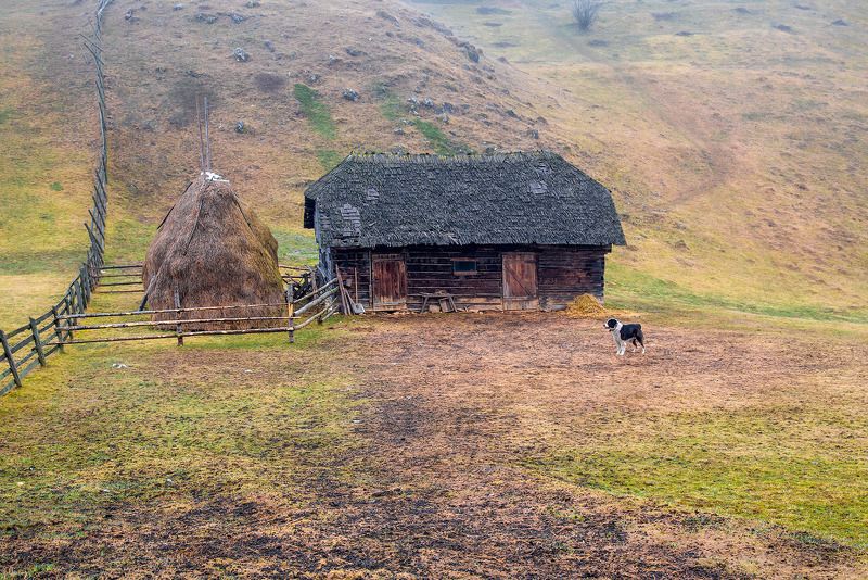 *** фото превью