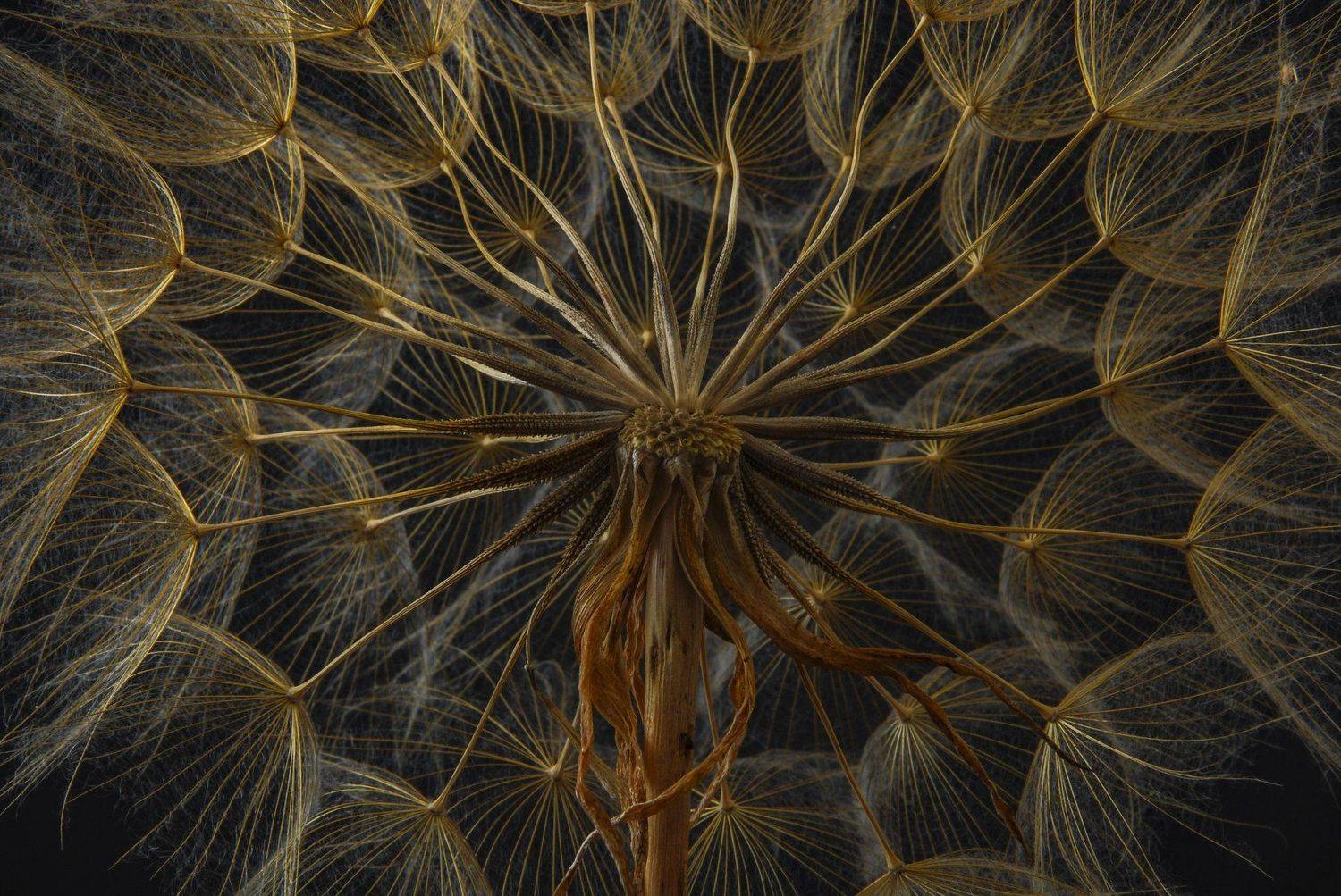 abstrac,center,light,yellow, mehmet enver karanfil