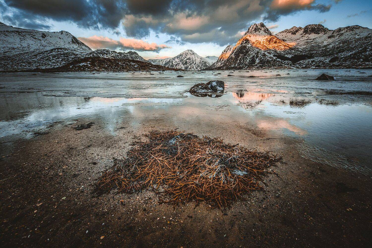 , Тодор Божков